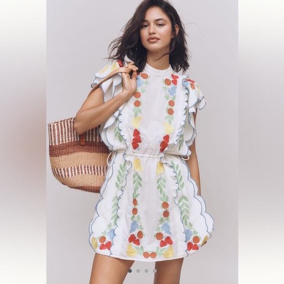 FARM Rio Dresses & Skirts - Farm Rio x Anthropologie Embroidered Ruffle mini Dress
